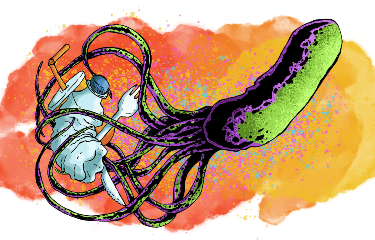 Enzymene kommer opprinnelig fra bakterier, med de er blitt satt sammen på en ny måte, slik at de fungerer bedre. Illustrasjon: Lauge Eilsøe-Madsen
