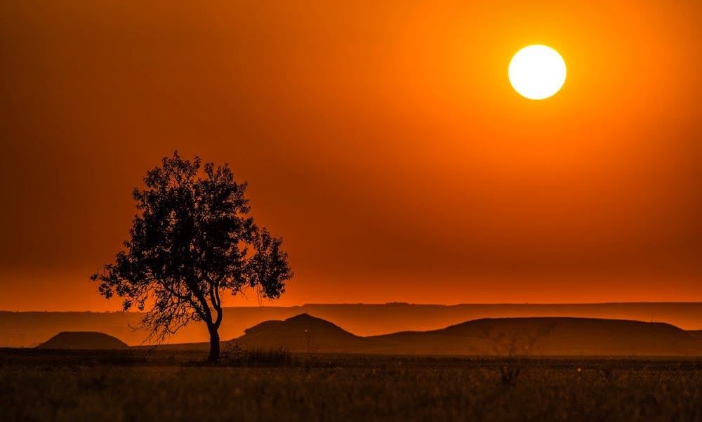 Foto: josealbafotos / Pixabay