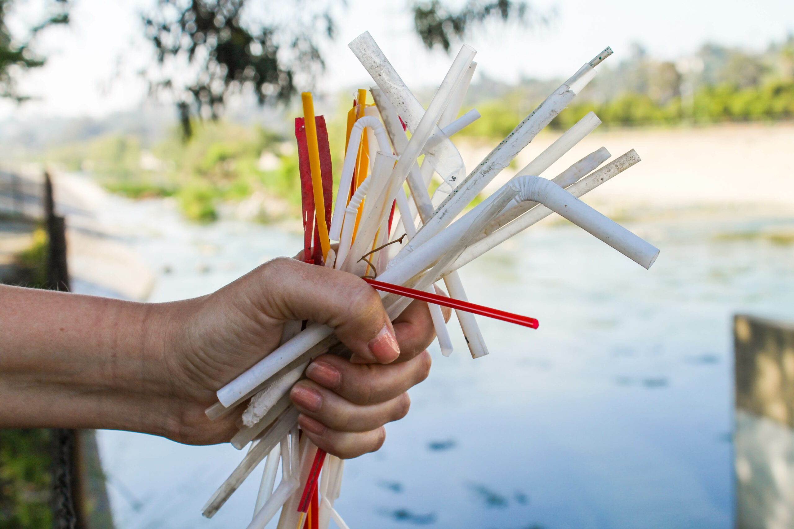 Foto: CC BY-NC-SA 2.0 Heal theBay / Flickr