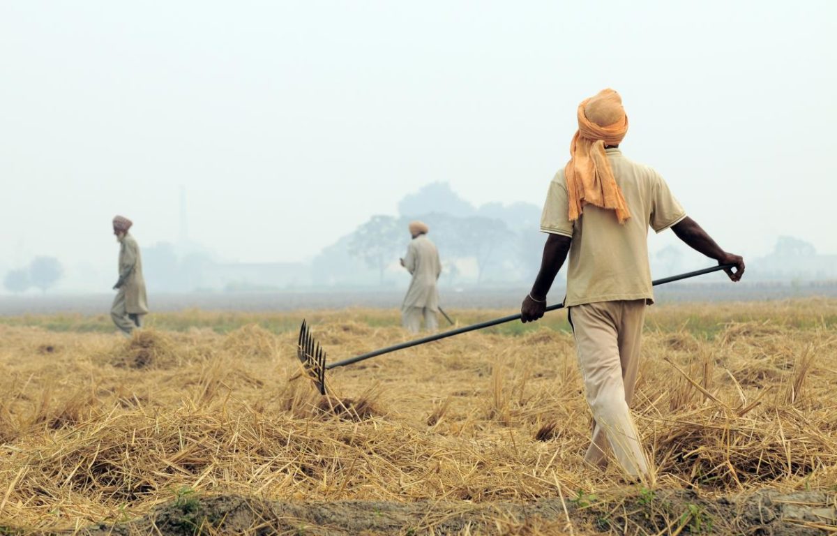 Foto: CC BY-SA 2.0 Neil Palmer (CIAT) / Flickr