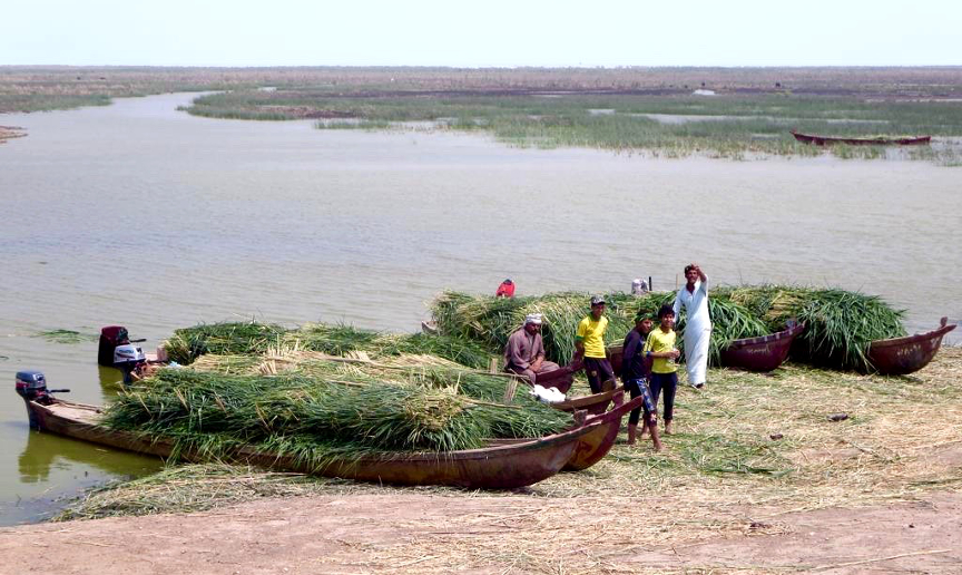 Foto: CCBY David Stanley / Flickr
