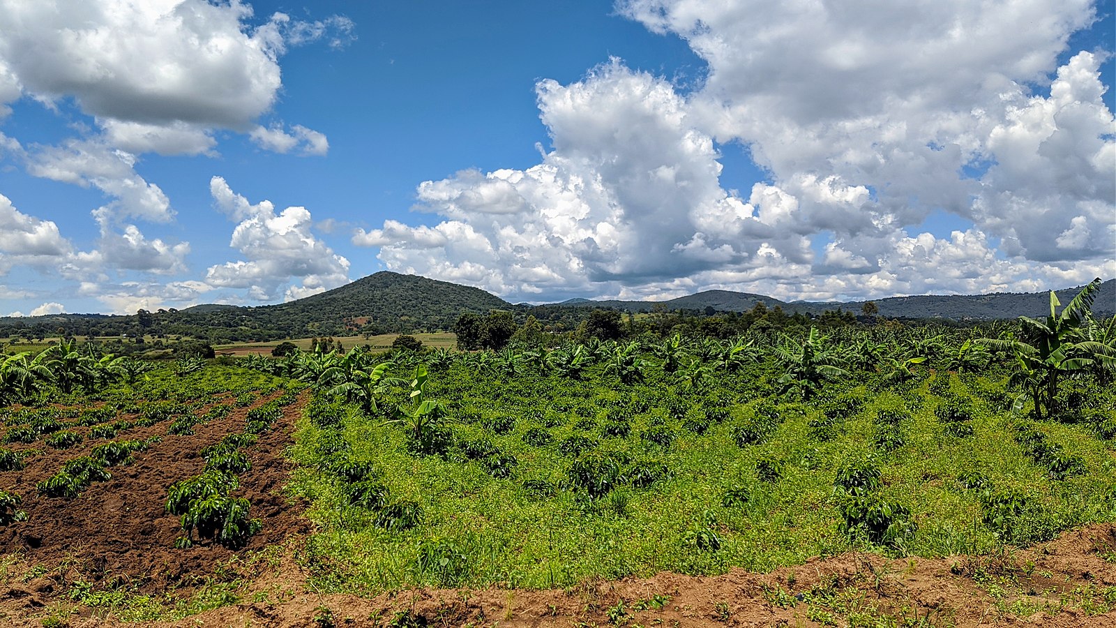 Foto: CC BY-SA 4.0 Richard grivas / Wikimedia Commons