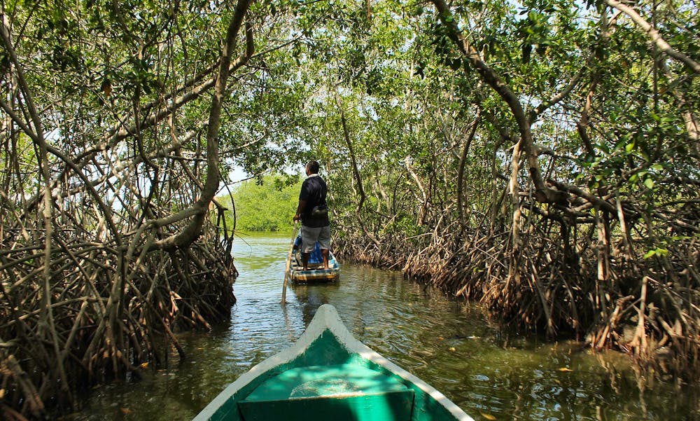 Foto: viajeminuto / Pixabay