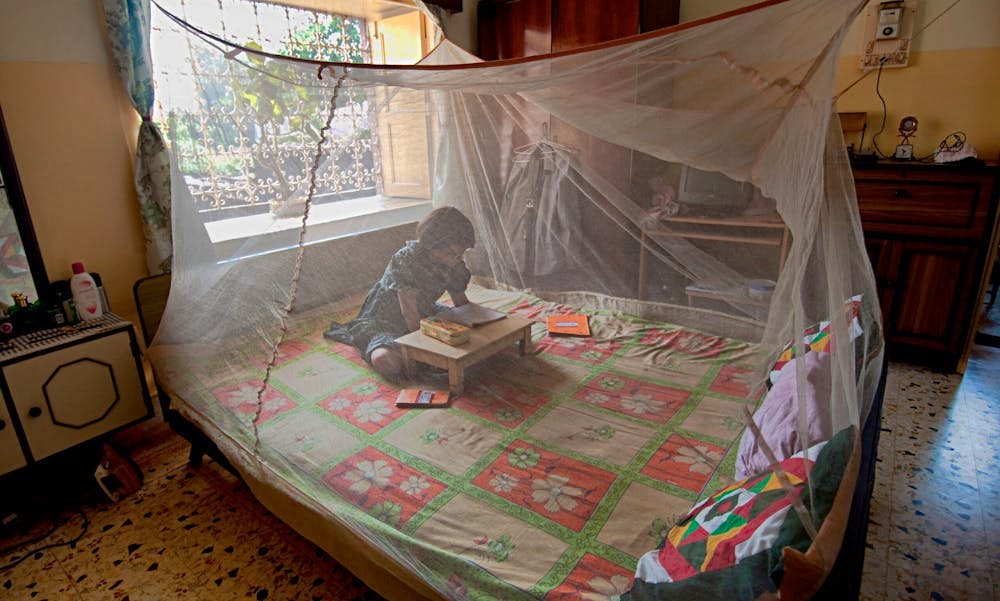 En jente i Vest Bengal i det nordøstlige India leser lekser. Myggenett er en av de viktigste verktøyene til å forhindre malaria. Foto: United Nations Development Programme CCBY