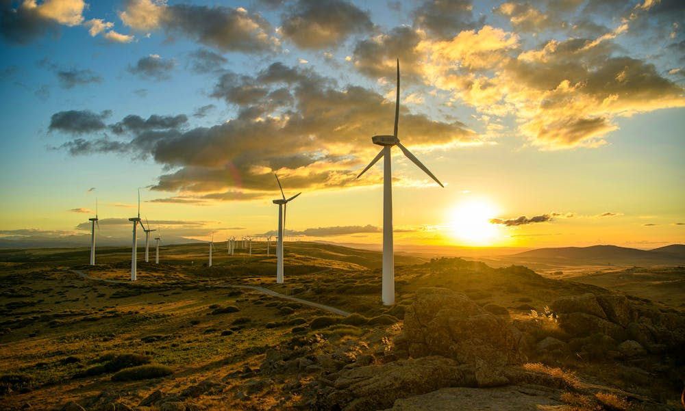 OECD-landene og Kina står for 80 prosent av den fornybare energikapasiteten som er installert på verdensplan.